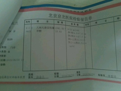 journal_insert_pic_509559963