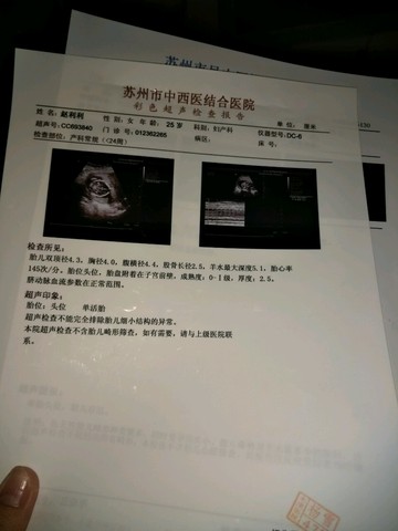 journal_insert_pic_510649102