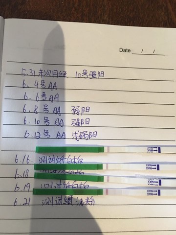 journal_insert_pic_512260798