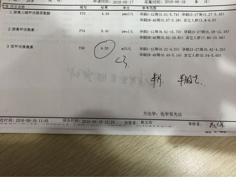 journal_insert_pic_513096181