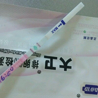 journal_insert_pic_513864261