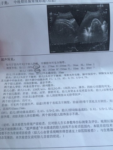journal_insert_pic_514467318