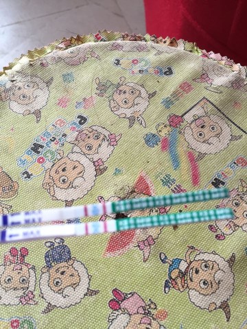 journal_insert_pic_517686819