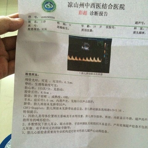 journal_insert_pic_517549958