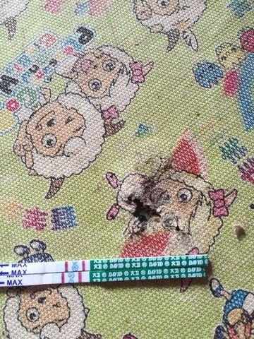 journal_insert_pic_517686758