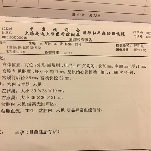 journal_insert_pic_518449411