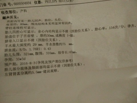 journal_insert_pic_520564797