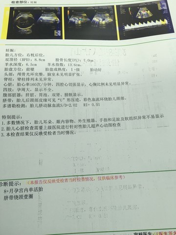 journal_insert_pic_520802484