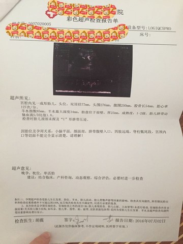 journal_insert_pic_521435463