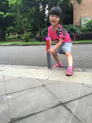 journal_insert_pic_521493216
