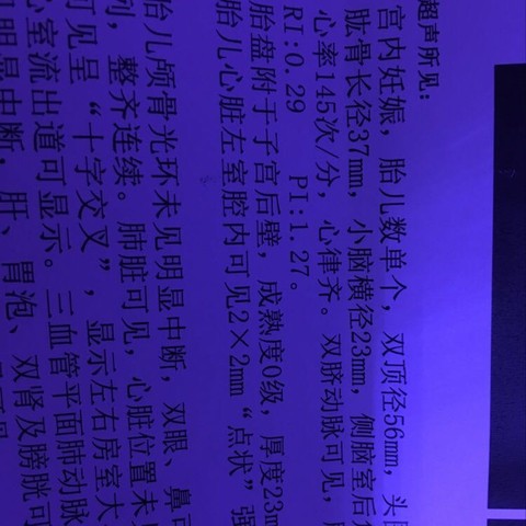 journal_insert_pic_523171052