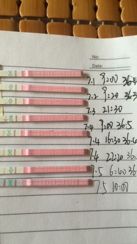 journal_insert_pic_522581675