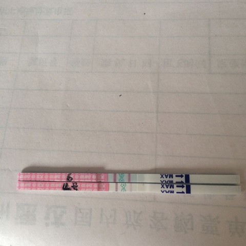 journal_insert_pic_524040169