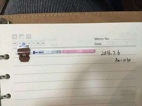 journal_insert_pic_523768286
