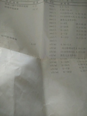 journal_insert_pic_523931464