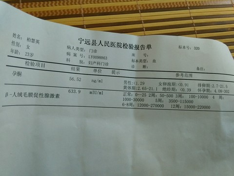 journal_insert_pic_524580130