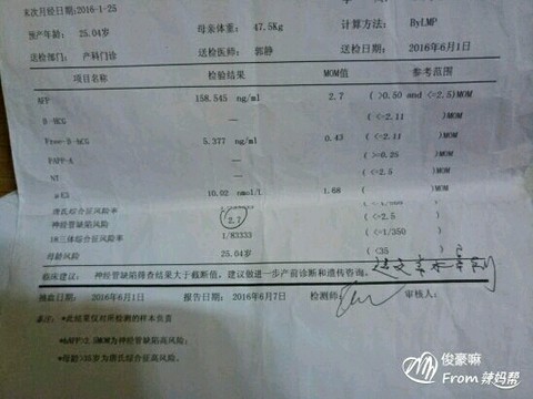 journal_insert_pic_525241596