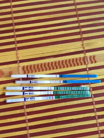 journal_insert_pic_527110494