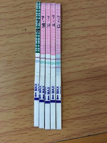 journal_insert_pic_528068071