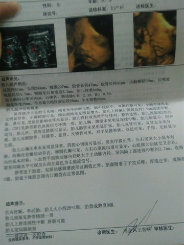 journal_insert_pic_528541724