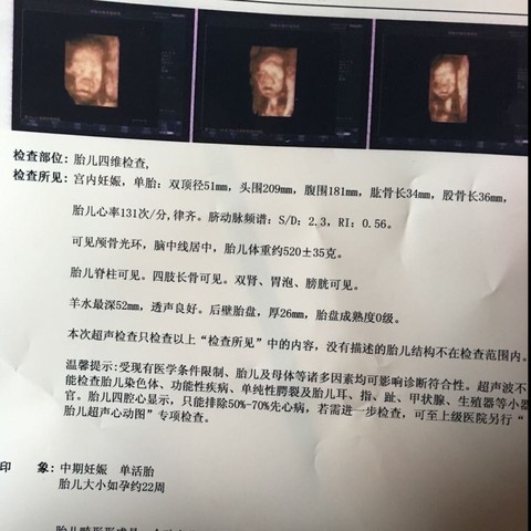 journal_insert_pic_529462288