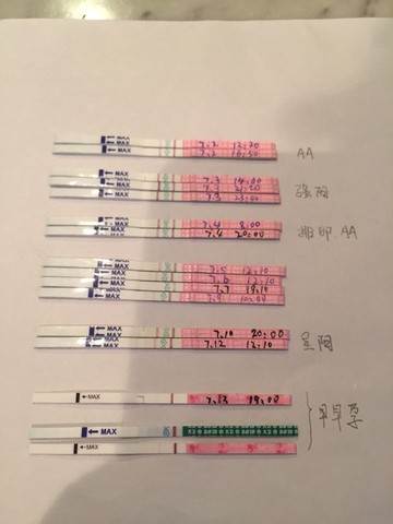 journal_insert_pic_529642075