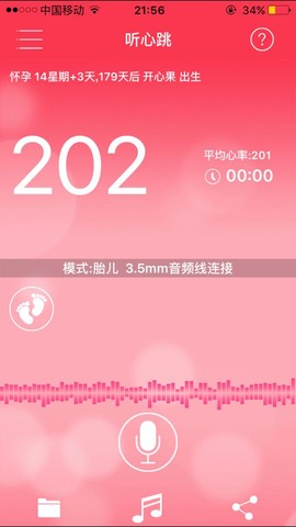 journal_insert_pic_530616345