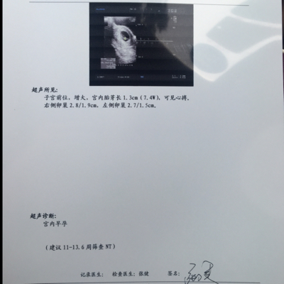 journal_insert_pic_530642165