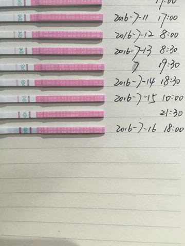 journal_insert_pic_531174480
