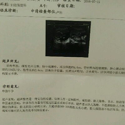 journal_insert_pic_531548262