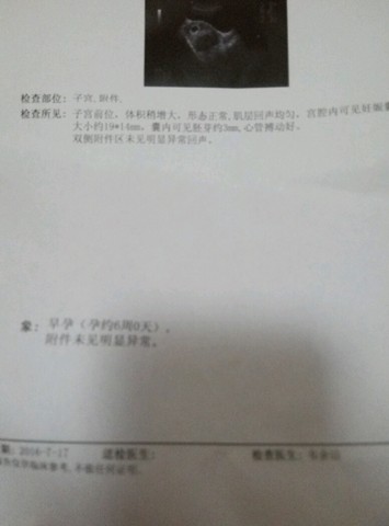 journal_insert_pic_531880078