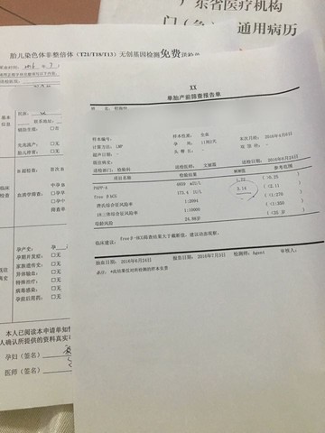 journal_insert_pic_532764051