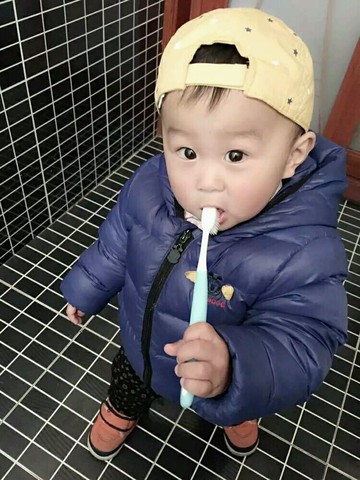journal_insert_pic_532808391