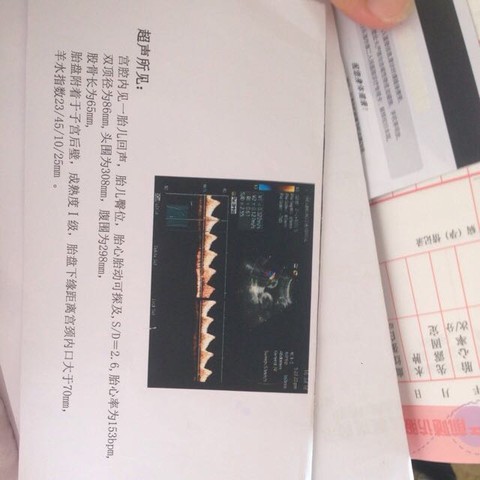 journal_insert_pic_533608021