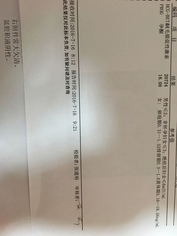 journal_insert_pic_534466085