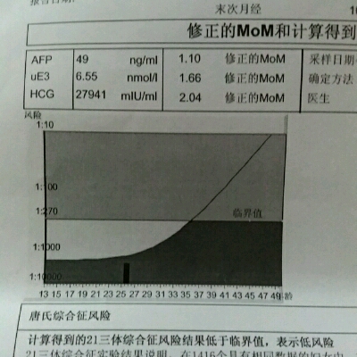 journal_insert_pic_534180538