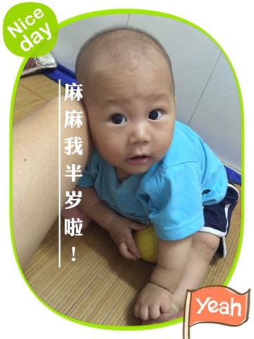 journal_insert_pic_535510769