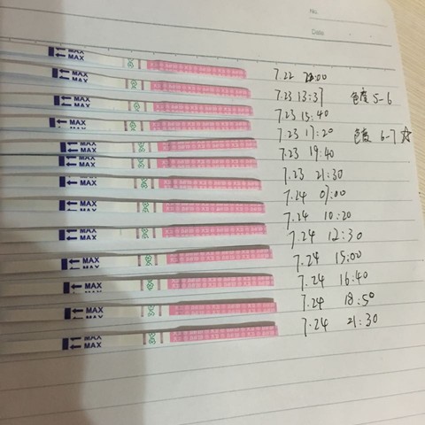 journal_insert_pic_537089046