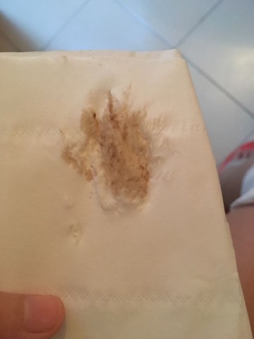 journal_insert_pic_539535151