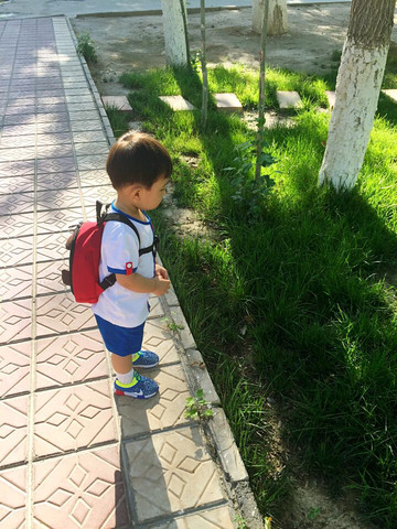 journal_insert_pic_539682844
