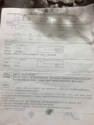 journal_insert_pic_539978330
