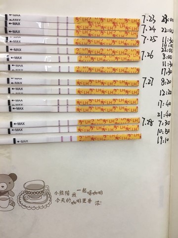 journal_insert_pic_539787149
