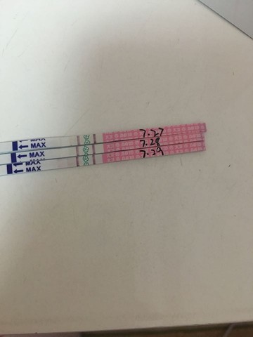 journal_insert_pic_540505922