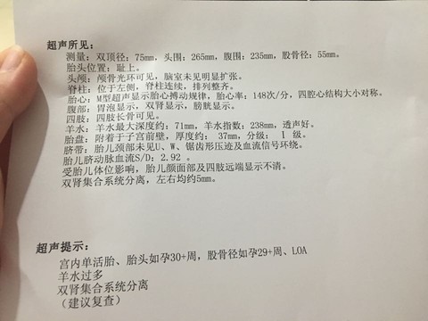 journal_insert_pic_540956140