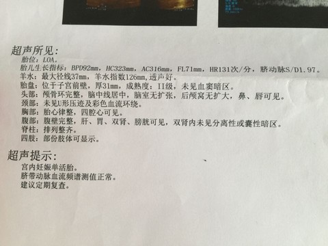 journal_insert_pic_542263535