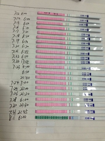 journal_insert_pic_542056815