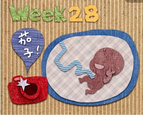 journal_insert_pic_544882787