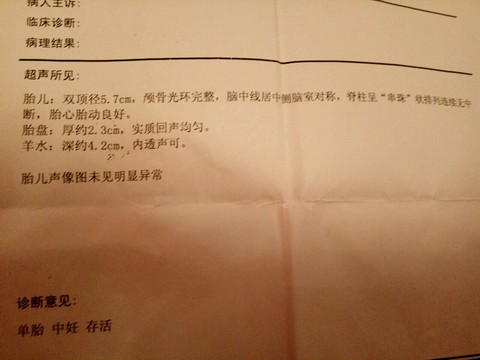 journal_insert_pic_545971783