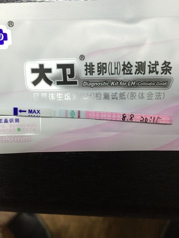 journal_insert_pic_547478182