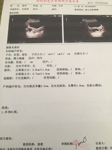 journal_insert_pic_549668643